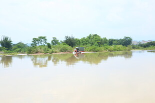 乡村宁静水域风光