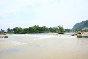 湍急河流边的青山绿树