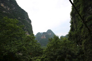 山间葱郁绿意景观