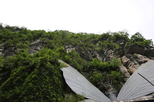 山间羽翼雕塑与葱郁植被