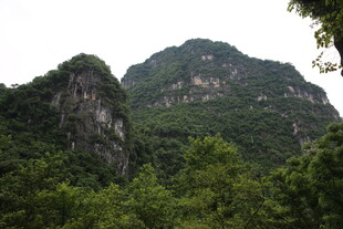 秀丽山峦与繁茂植被景观