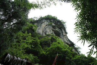 翠绿山林中的巍峨岩石