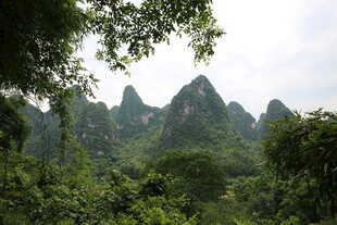 秀丽山峦间的葱郁景致