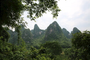 秀丽山峦隐于葱郁林间