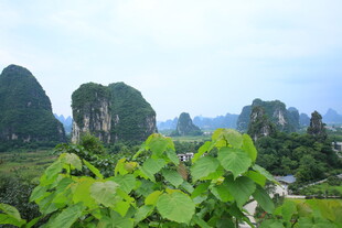 桂林山水田园风光美景