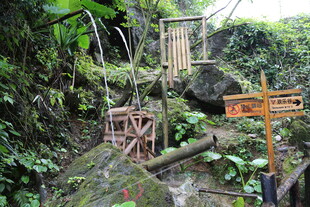 丛林中的古朴木质景观