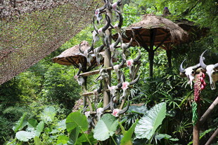 丛林中的特色悬挂装饰物