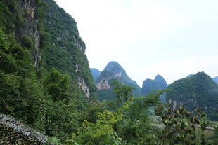 秀丽山间绿意盎然的景致