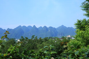 青山绿树间的秀丽景致