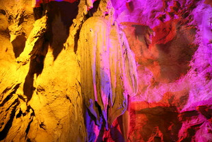 梦幻色彩下的抽象人像