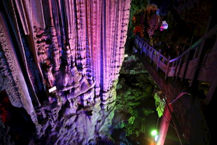 梦幻灯光下的绿植景观