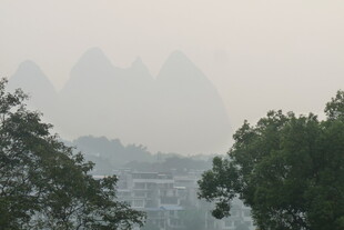 雾中朦胧山峦与绿树