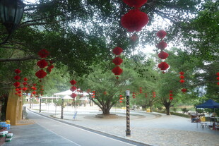 街道绿树间的红灯笼点缀