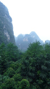 青山绿树间的秀丽景致