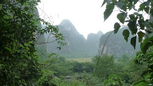 山林间的清幽景致