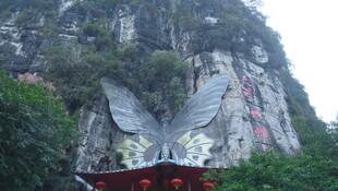 巨型蝴蝶翅膀景观