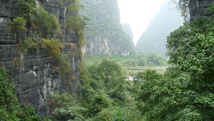 山间绿意盎然的秀丽景致