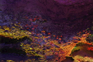 梦幻绚丽的抽象色彩景观