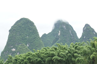 秀丽山峦与葱郁植被景观