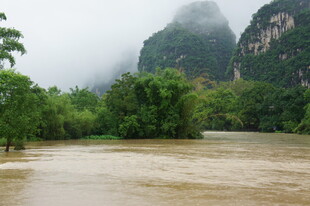 山间河流与葱郁植被景观