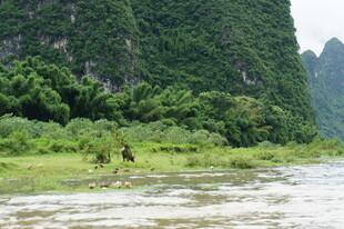 漓江山水间的自然景致