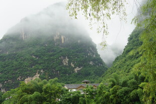 云雾缭绕的山间绿意景致