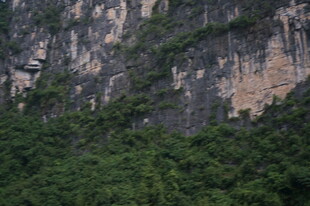 陡峭山崖下的茂密植被