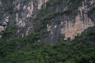 陡峭山壁与繁茂植被