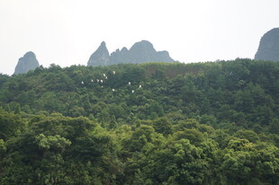 青山叠翠的秀丽自然景观