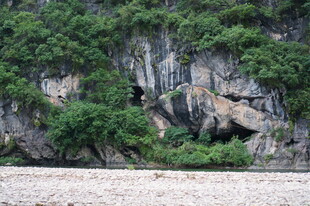 江边岩石与繁茂绿植景观