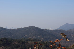 秋日远山风景