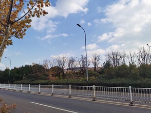 秋日公路风景