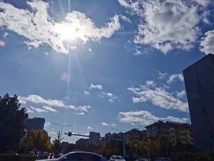 晴朗天空下的城市景象