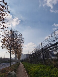 户外林荫小道与围栏景观