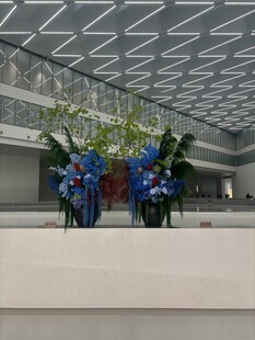 室内蓝色花卉景观布置