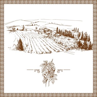 田园葡萄园风景手绘插画