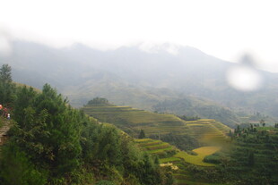 山间云雾缭绕的翠绿梯田