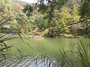 清幽山林中的静谧湖水