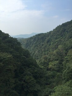 青山葱郁的山谷景色