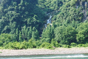 山间溪流旁的葱郁森林