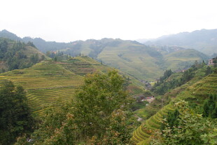 山间梯田美景