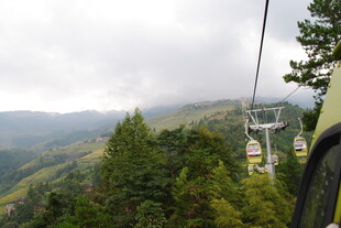 山间缆车穿梭于葱郁山林