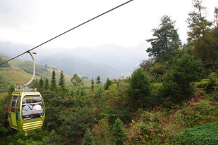 山间缆车穿梭于葱郁山林