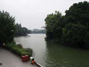 河畔绿树环绕的宁静景象