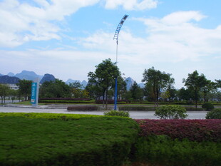 城市绿地景观 清新宜人