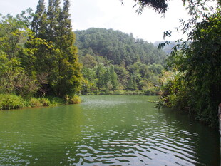 青山绿水间的宁静河流