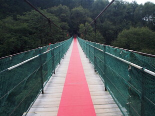 森林中的红道吊桥