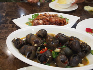 美味田螺与特色菜肴