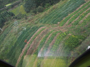 俯瞰多彩梯田美景