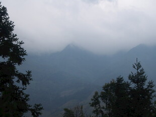 云雾缭绕的山林美景